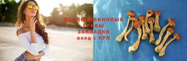 твердый Ельня