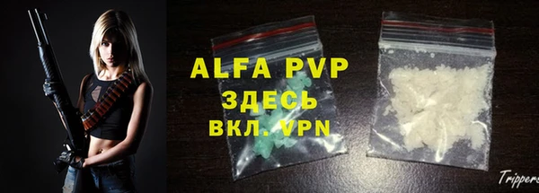 PSILOCYBIN Дмитриев