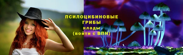 ECSTASY Чегем