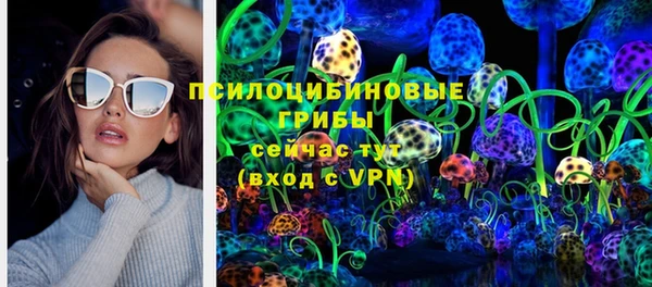 не бодяженный Дмитров