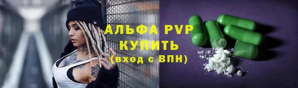 твердый Ельня