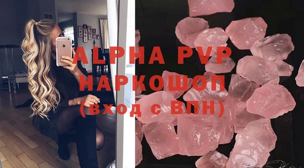 PSILOCYBIN Дмитриев