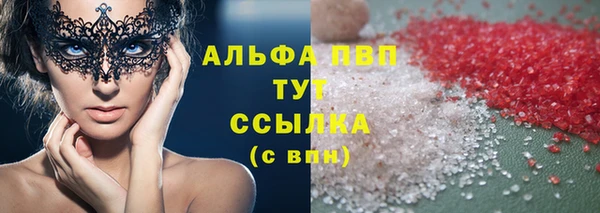 PSILOCYBIN Дмитриев