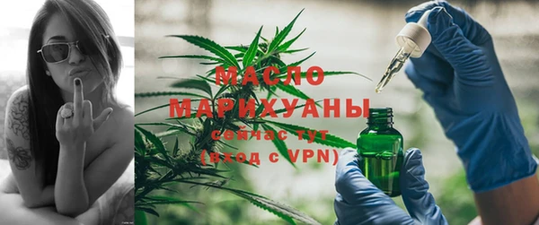 твердый Ельня